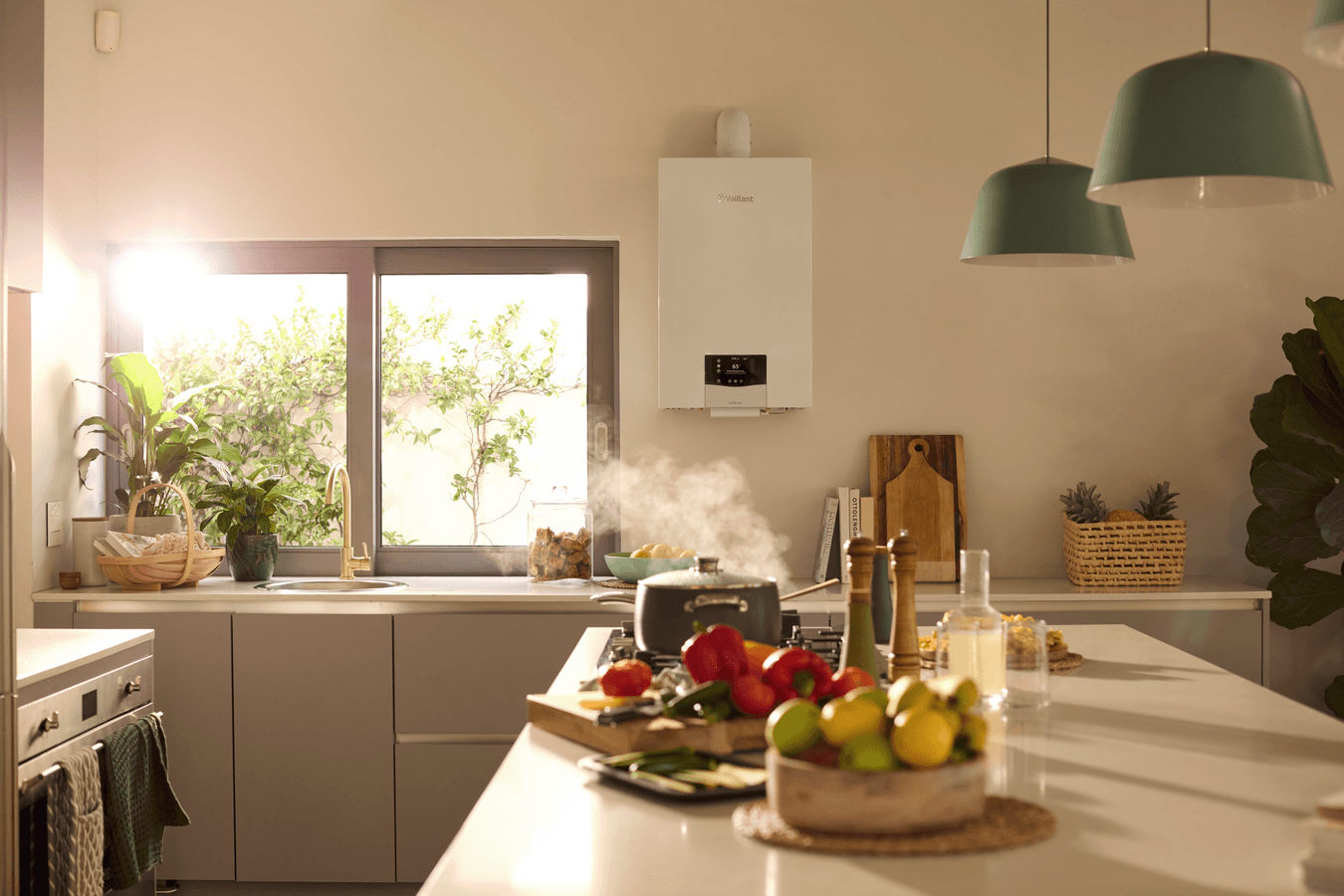 ecoTEC plus do 35 kW scene view