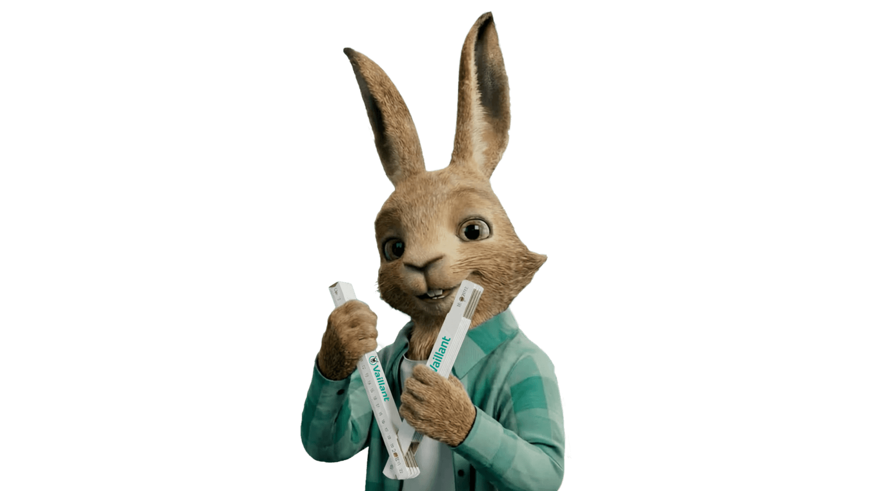 Vaillantov zajec drži zložljivi meter