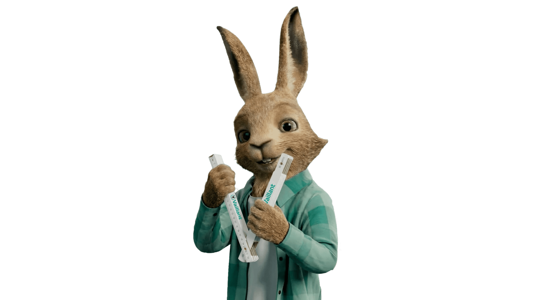 Vaillantov zajec drži zložljivi meter