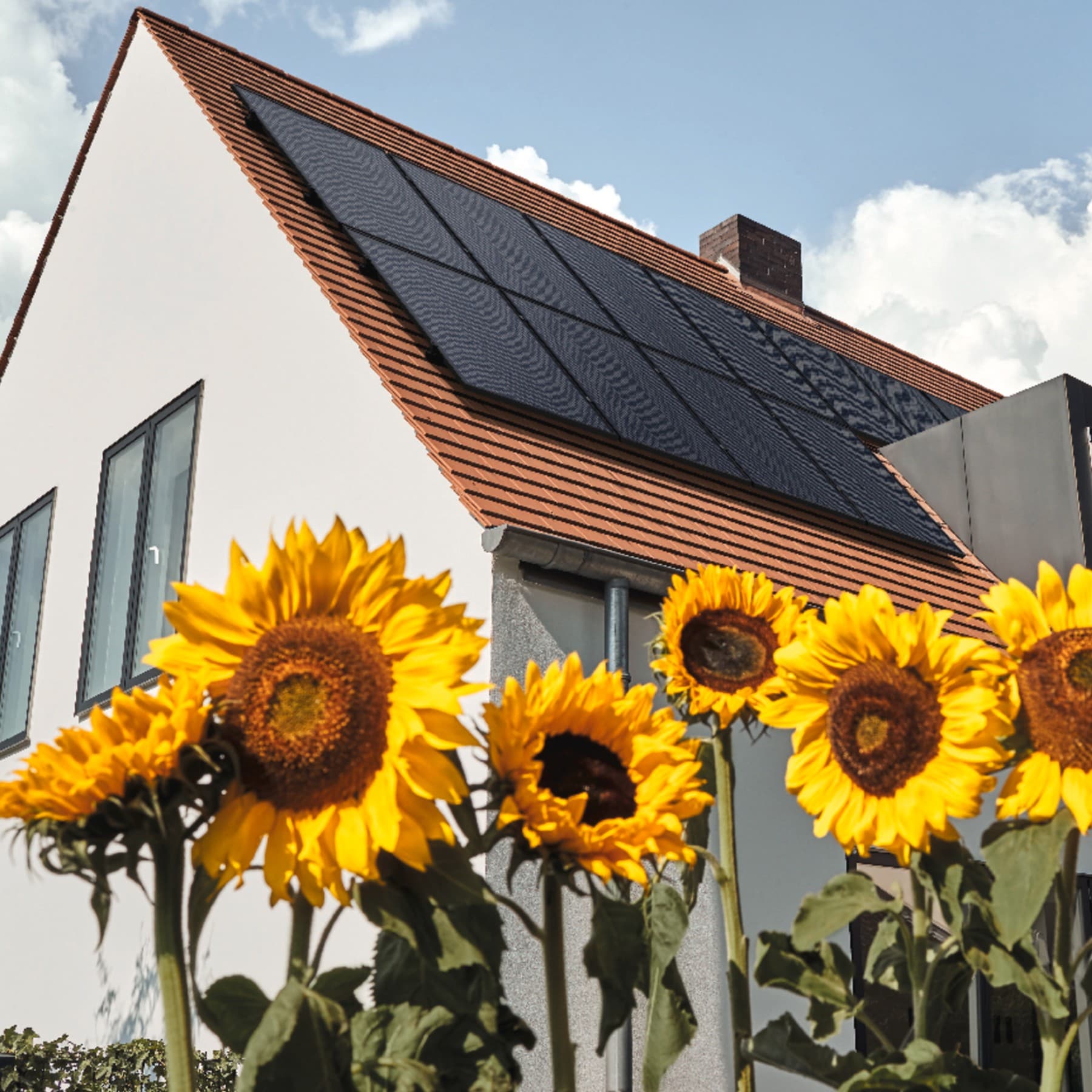 Za velikimi sončnicami stoji hiša. Na strehi so nameščeni sončni kolektorji, ki izkoriščajo sončno energijo za proizvodnjo električne energije.